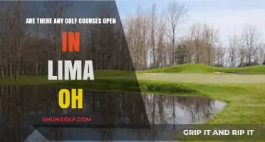 Golf Courses in Lima, OH: Which Ones Are Open Now?