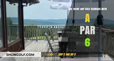 Exploring the Rarity of Par 6 Holes on Golf Courses