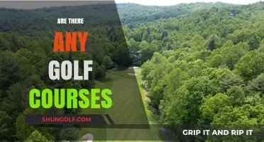 Exploring the World of Golf: Are There Any Courses Near You?