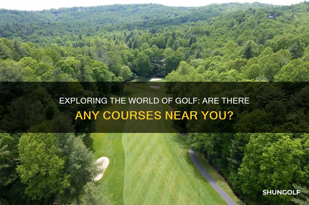 are there any golf courses