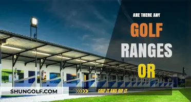 Best Golf Ranges for Your Next Visit