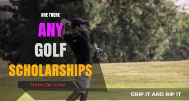 Golf Scholarships: Available for Aspiring Student Athletes