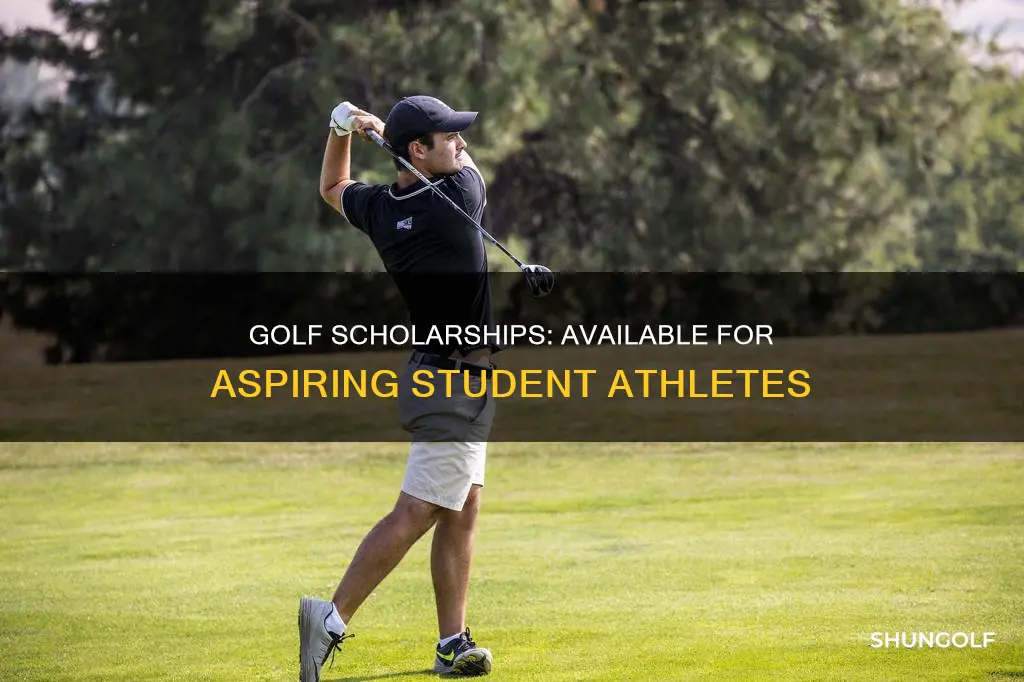 are there any golf scholarships