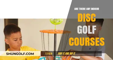 Exploring Indoor Disc Golf: Are There Courses Near You?