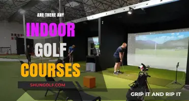 Exploring Indoor Golf Courses: Are They a Real Thing?