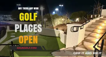 Mini Golf Near Me: Discover Open Courses for Family Fun