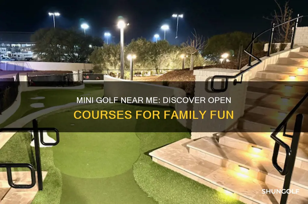 are there any mini golf places open
