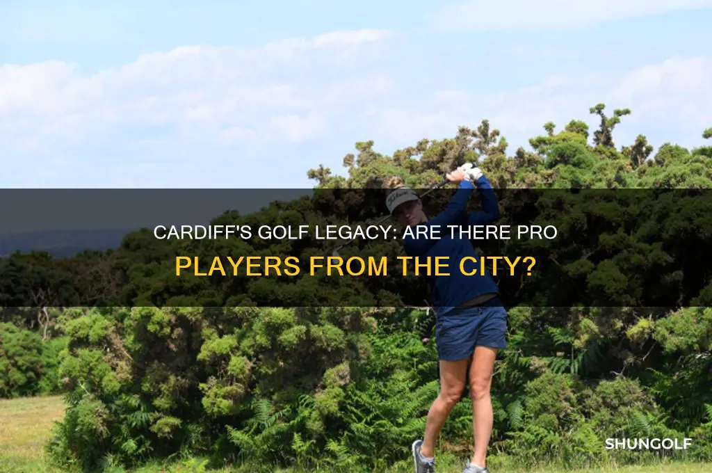 are there any pro golf players from cardiff