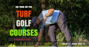 Exploring Pro Turf Golf Courses: Are They a Reality?