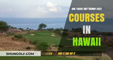 Exploring Trump Golf Courses: Are There Any in Hawaii?