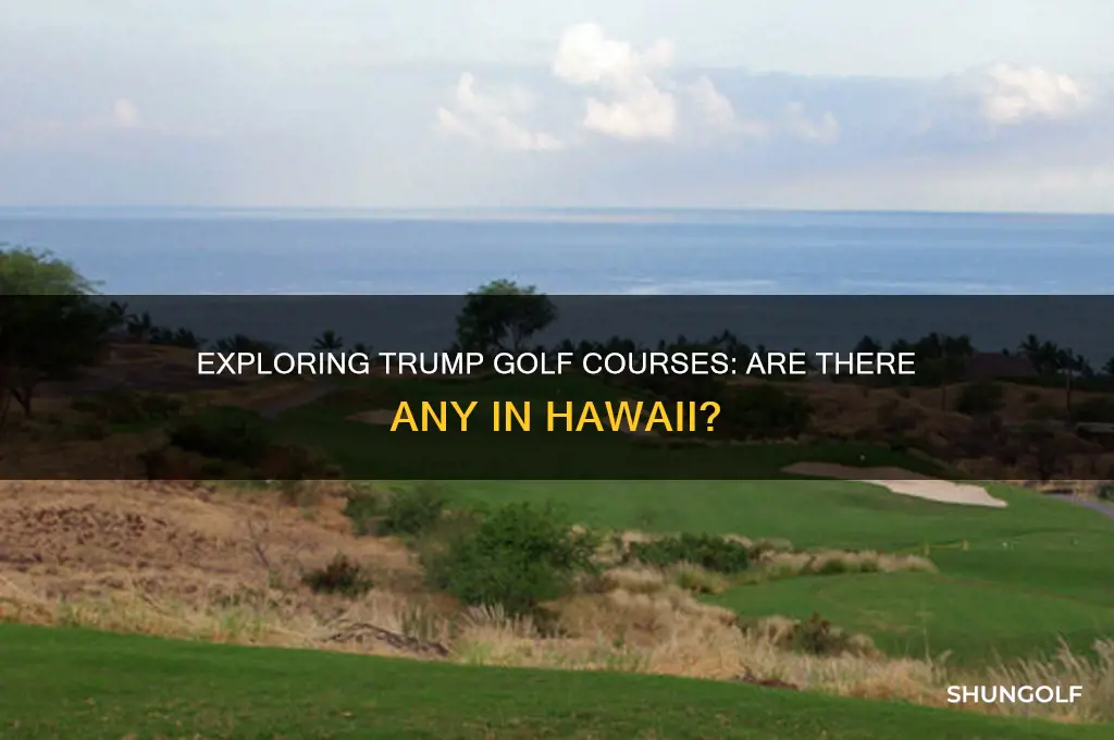 are there any trump golf courses in hawaii