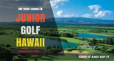 Do Junior Golfers in Hawaii Use Caddies? Exploring the Tradition