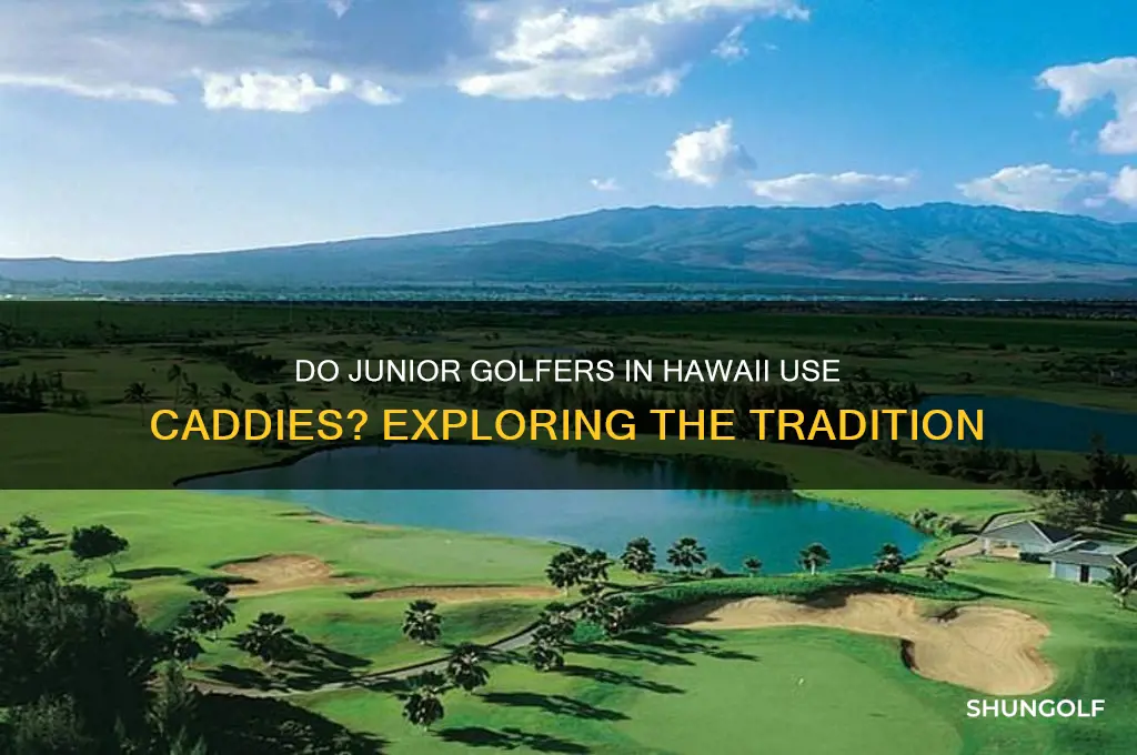 are there caddies in junior golf hawaii