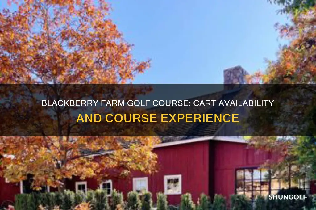 are there carts available at blackberry farm golf course
