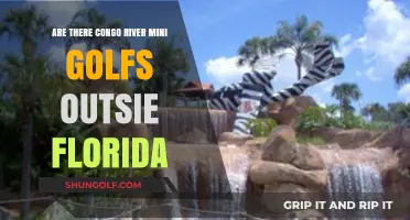 Exploring Congo River Mini Golf Locations Beyond Florida's Borders