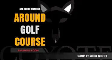 Coyotes on the Green: Spotting Wildlife Near Golf Courses