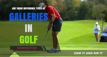 Exploring Golf Gallery Types: Understanding Their Unique Roles and Functions