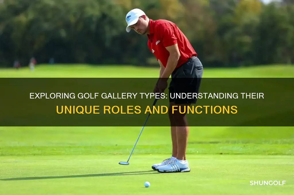 are there difference types of galleries in golf