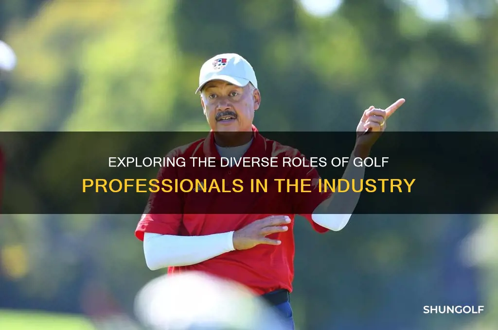 are there different types of golf pros