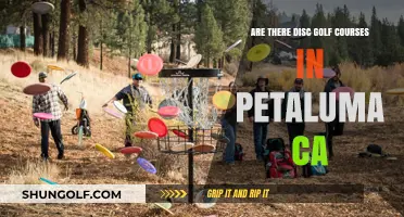 Discover Petaluma's Disc Golf Courses: A Guide to Local Play