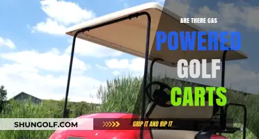 Exploring Gas-Powered Golf Carts: Are They a Practical Option?