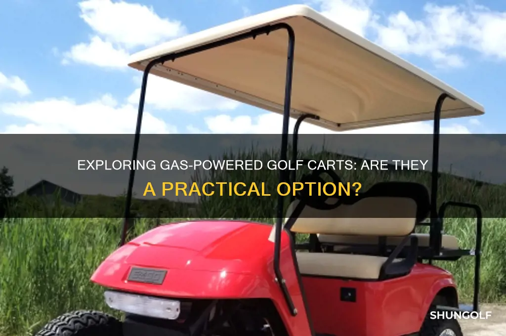 are there gas powered golf carts