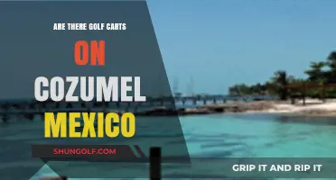 Exploring Cozumel: Are Golf Carts a Common Sight on the Island?