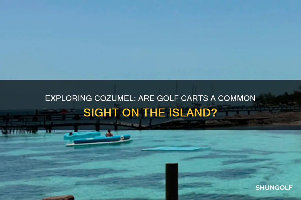 are there golf carts on cozumel mexico