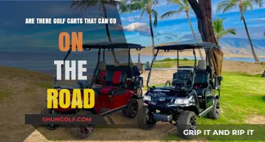 Street-Legal Golf Carts: Exploring Road-Ready Options for Everyday Use