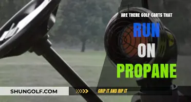 Exploring Eco-Friendly Golf Carts: Do Propane-Powered Models Exist?