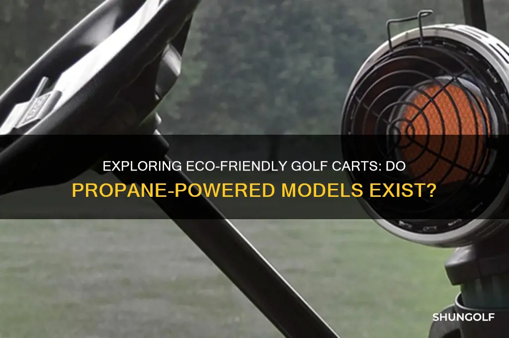 are there golf carts that run on propane