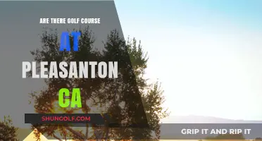Exploring Pleasanton, CA: Discovering Golf Courses in the Area