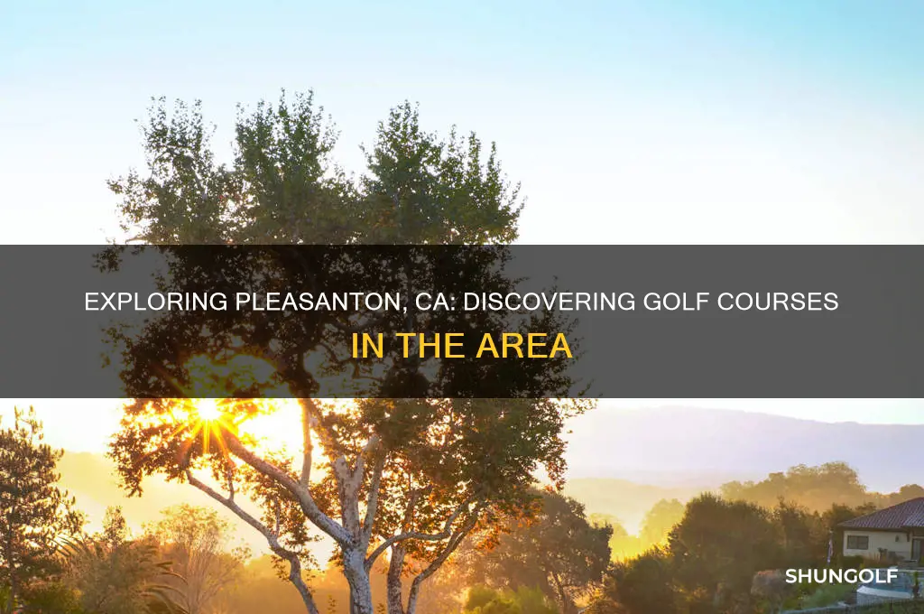 are there golf course at pleasanton ca
