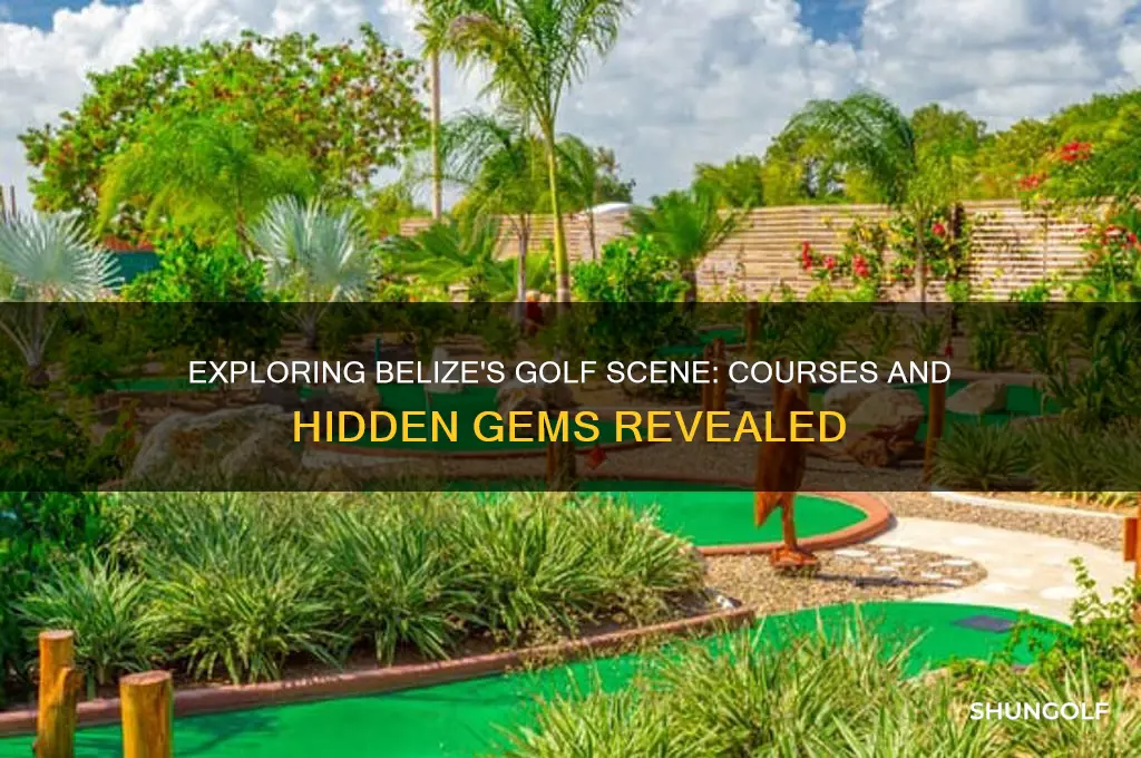 are there golf course in belize