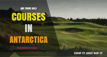 Exploring Antarctica's Golf Scene: Fact or Fiction?