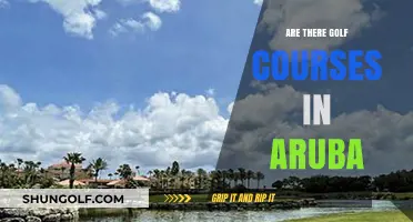 Exploring Aruba's Golf Courses: A Guide to Tee Times in Paradise