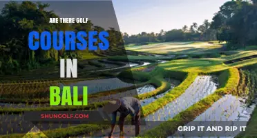 Exploring Bali's Golf Courses: A Guide to Tee Times in Paradise