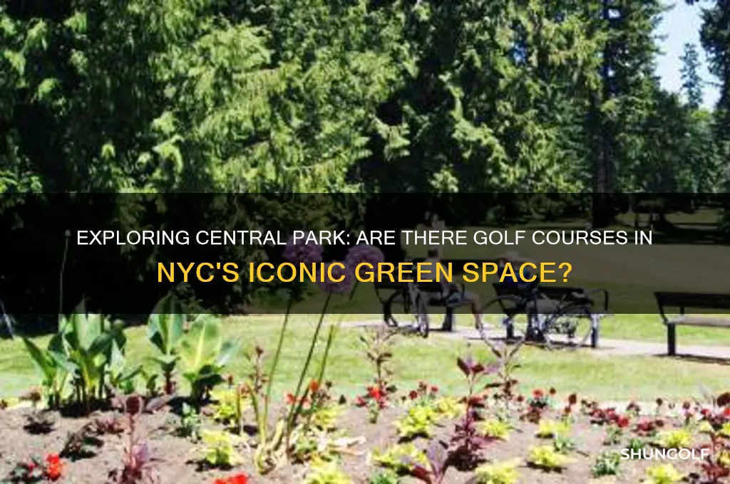 are there golf courses in central park