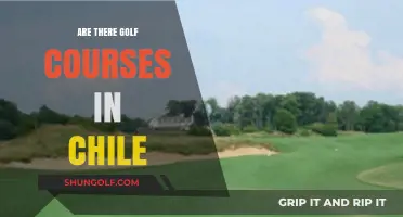 Exploring Chile's Golf Scene: Courses, Locations, and Unique Experiences