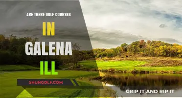 Exploring Galena, Illinois: Uncovering the Best Golf Courses in Town