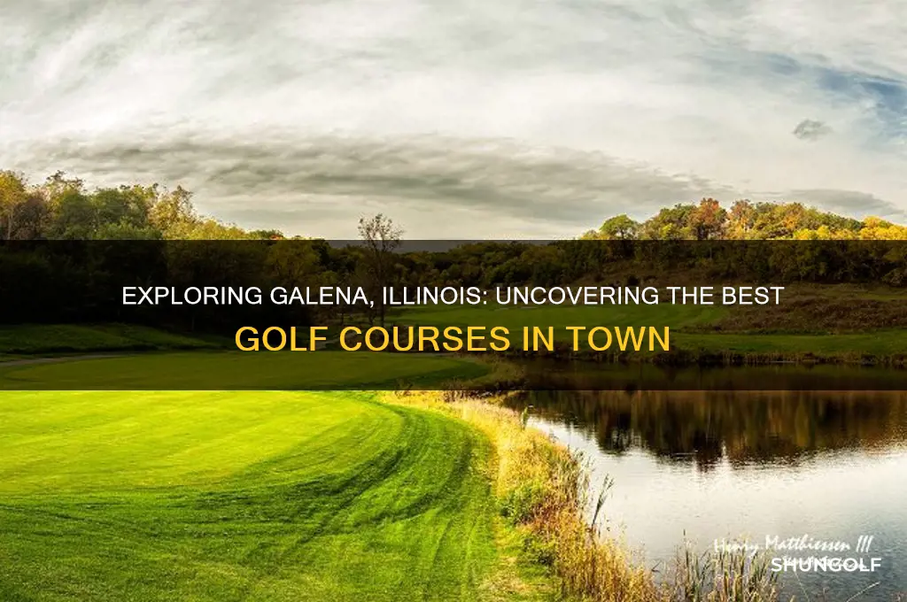 are there golf courses in galena ill