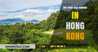 Exploring Hong Kong's Golf Scene: Courses and Hidden Gems