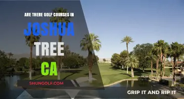 Exploring Joshua Tree: Are There Golf Courses in This Desert Oasis?