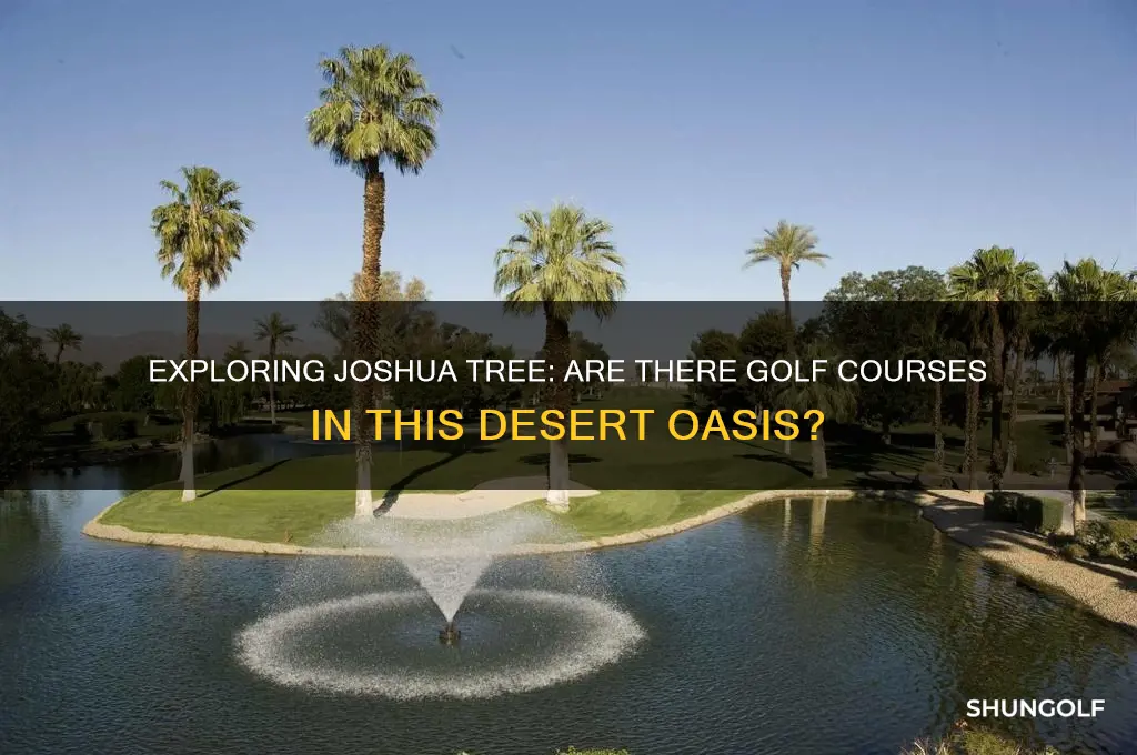 are there golf courses in joshua tree ca