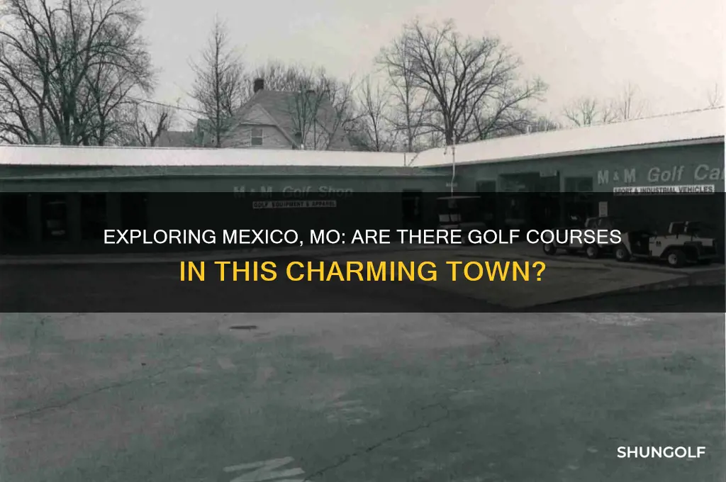 are there golf courses in mexico mo
