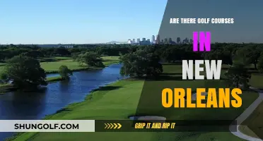 Exploring New Orleans: Discovering the City's Golf Course Scene