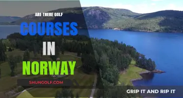 Exploring Norway's Golf Scene: Courses, Landscapes, and Unique Experiences