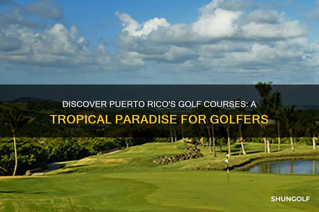 are there golf courses in peurto rico
