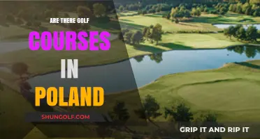 Exploring Poland's Golf Scene: Courses, Locations, and Popularity