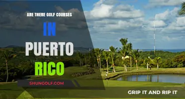 Exploring Puerto Rico's Golf Scene: Courses, Locations, and More